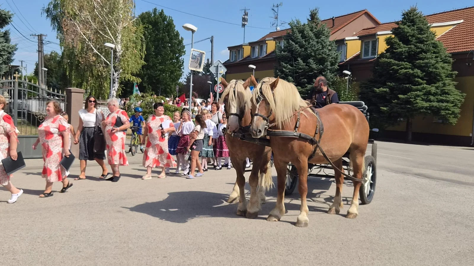 Konský záprah na spoločenskej akcii